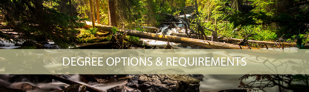 Degree Options & Requirements