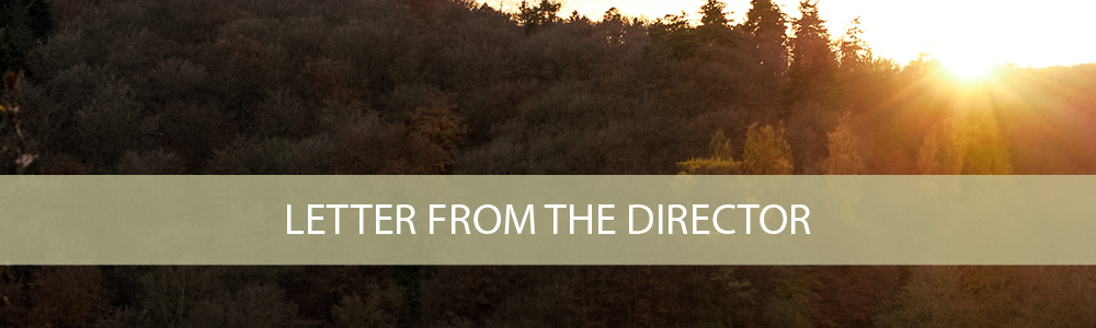 Letter from the Director