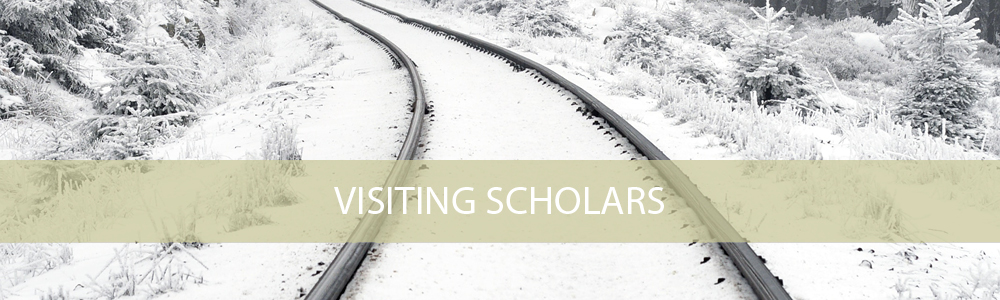 Visiting Scholars