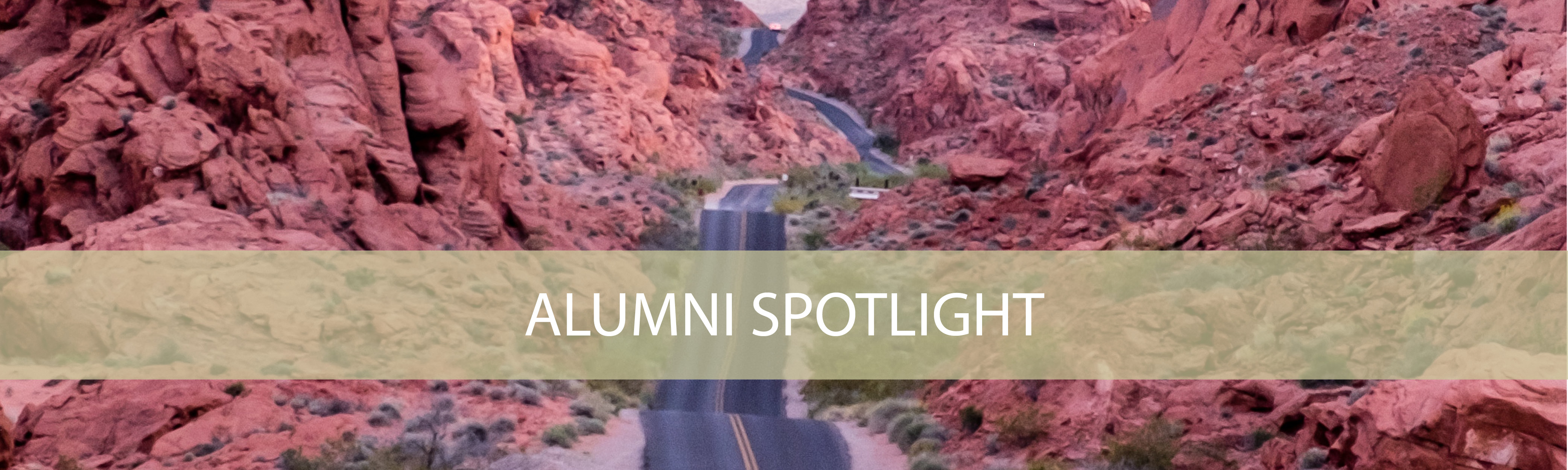 Alumni Spotlight