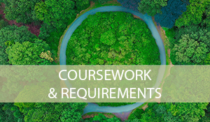 COURSEWORK and Requirements