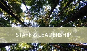 STAFF AND LEADERSHIP